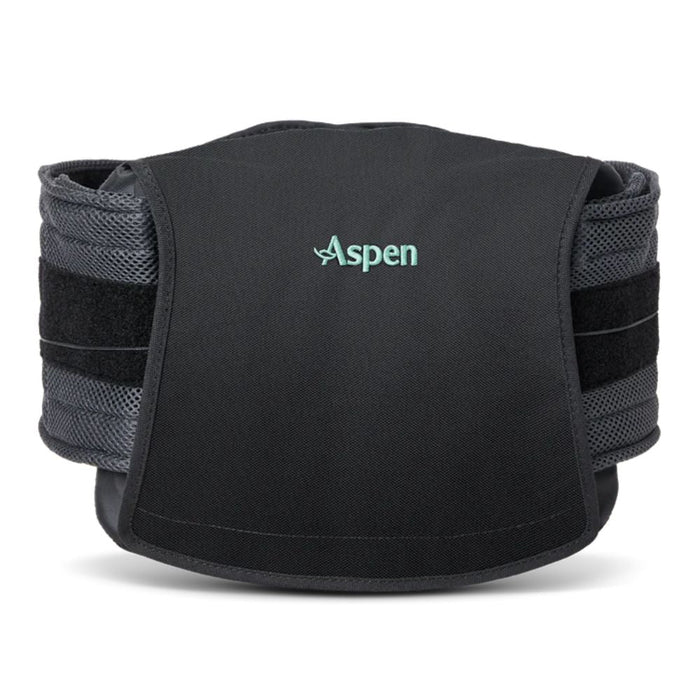 Aspen Horizon 627 LSO Back Brace