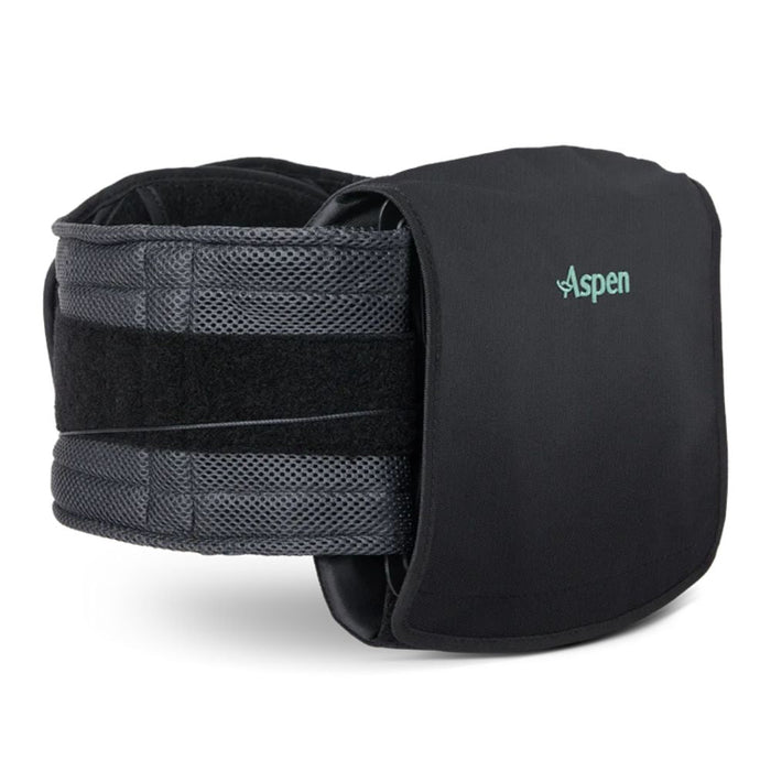 Aspen Horizon 627 LSO Back Brace
