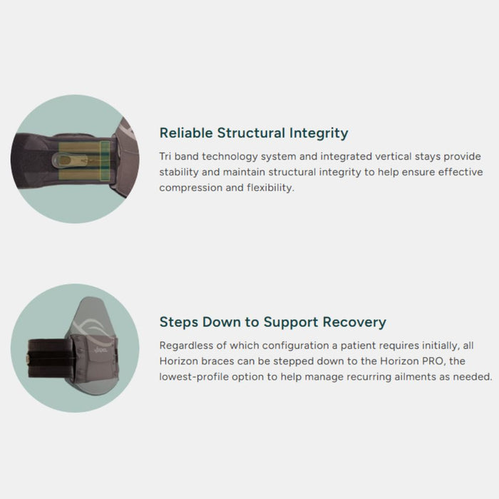 Aspen Horizon 627 LSO Back Brace