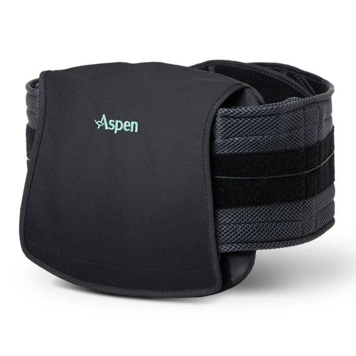 Aspen Horizon 627 LSO Back Brace