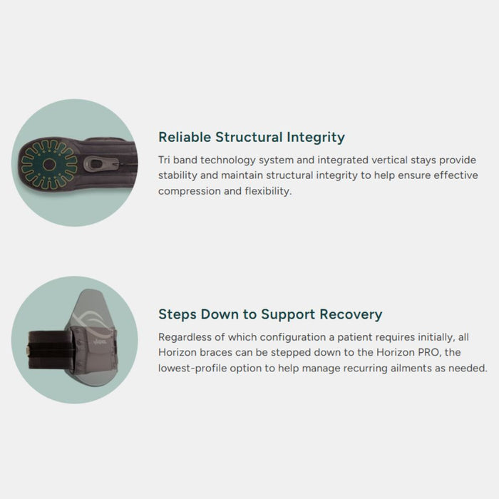 Aspen Horizon 631 LSO Back Brace