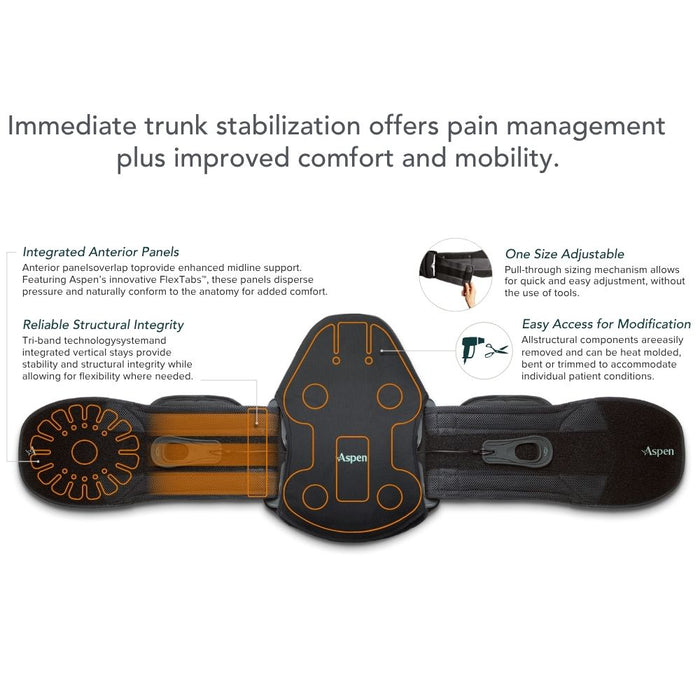 Aspen Horizon 631 LSO Back Brace