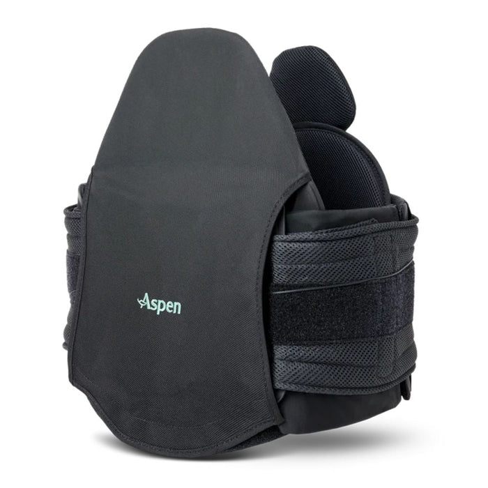 Aspen Horizon 639 LSO Back Brace