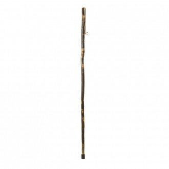 Free-Form Aspen Walking Stick