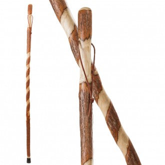 Free-Form Twisted Sassafras Walking Stick