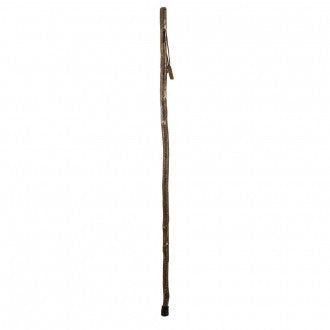 Free-Form Sassafras Walking Stick