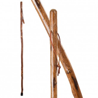 Free-Form Sassafras Walking Stick