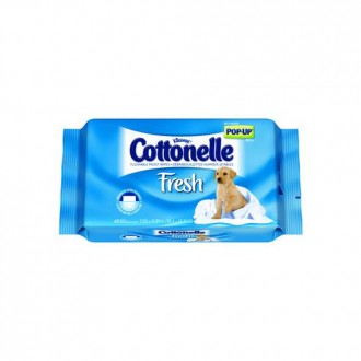 Cottonelle Flushable Moist Wipes (pack)